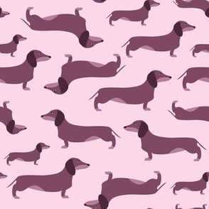 Dachshund - pink ice