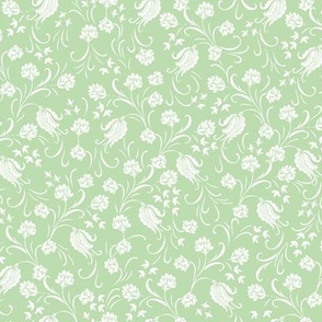 Bellflowers - pistacia green carnation