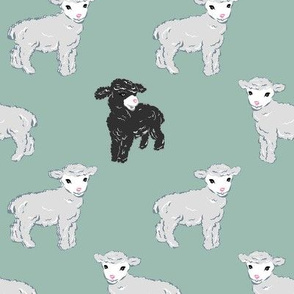 sheep , mouton aqua