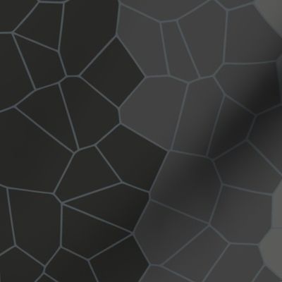 Black & White Voronoi