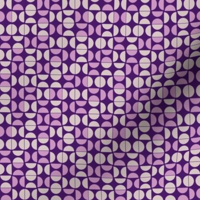 semicircle_purple_orchid