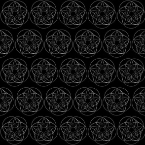 Fibonacci spiral floral geometric pattern on black 