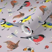 Hand painted birds and insects