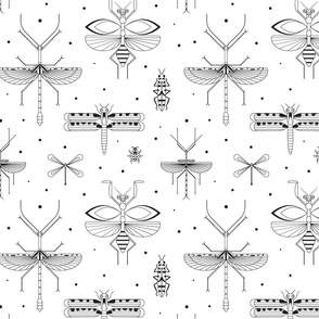 Black and White Praying Mantis Print