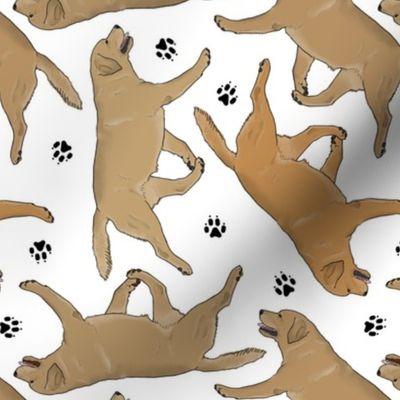 Trotting yellow Labrador Retrievers and paw prints - white