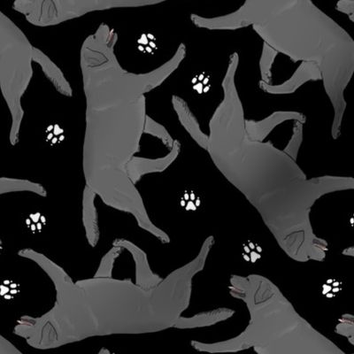 Trotting black Labrador Retrievers and paw prints - black