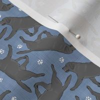 Tiny Trotting black Labrador Retrievers and paw prints - faux denim