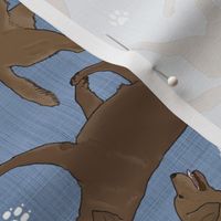 Trotting chocolate Labrador Retrievers and paw prints - faux denim