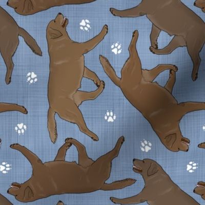 Trotting chocolate Labrador Retrievers and paw prints - faux denim