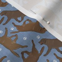 Tiny Trotting chocolate Labrador Retrievers and paw prints - faux denim