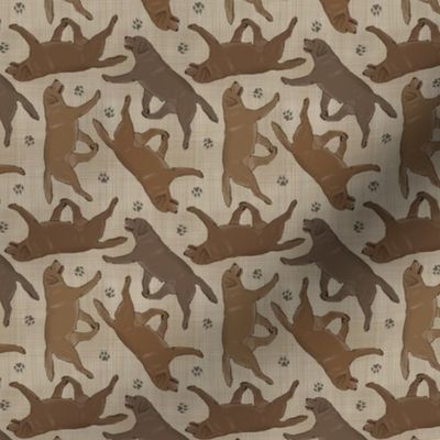 Tiny Trotting chocolate Labrador Retrievers and paw prints - faux linen