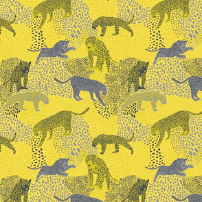 jaguar - illumanating yellow and ultimate gray-01