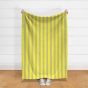 Yellow Stripes