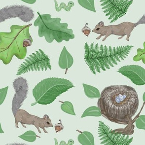 Woodland Tree Squirrels - Small