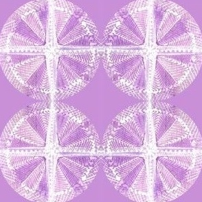 soft_lavendar_star 