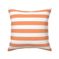 Large Tangerine Awning Stripe Pattern Horizontal in White