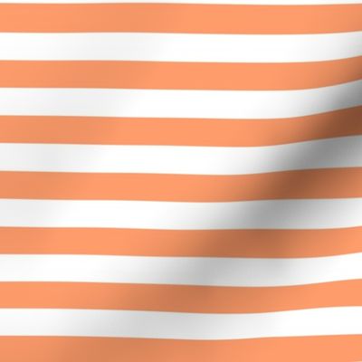 Tangerine Awning Stripe Pattern Horizontal in White