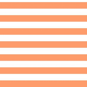 Tangerine Awning Stripe Pattern Horizontal in White