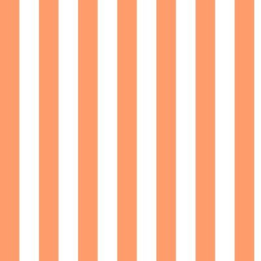 Tangerine Awning Stripe Pattern Vertical in White