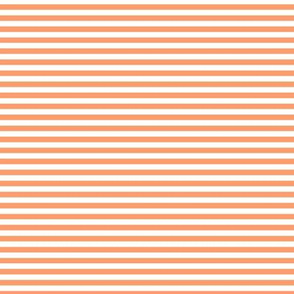 Small Tangerine Bengal Stripe Pattern Horizontal in White