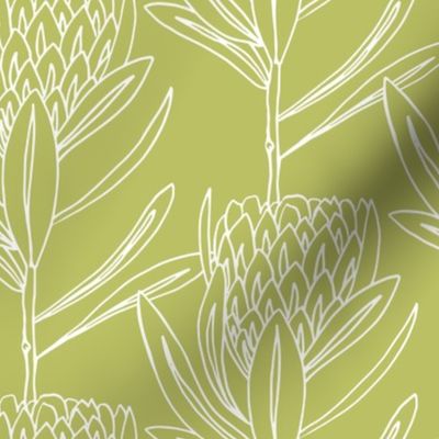 Protea Large - Celery Green