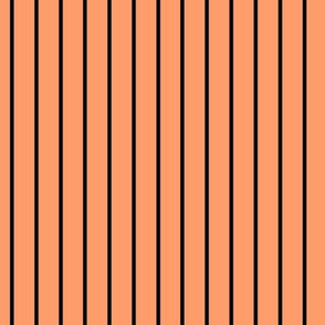 VPinStripePattern TangerineFF9C6CBlack Regular