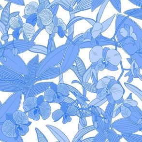 Light Blue Orchids M