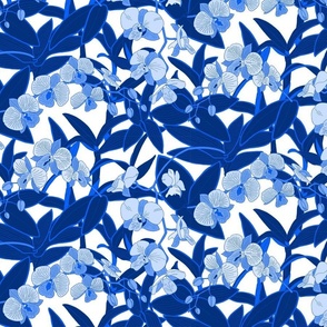 Blue Orchids on white background, blue aesthetic S