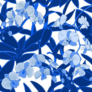 Blue Orchids on white background M