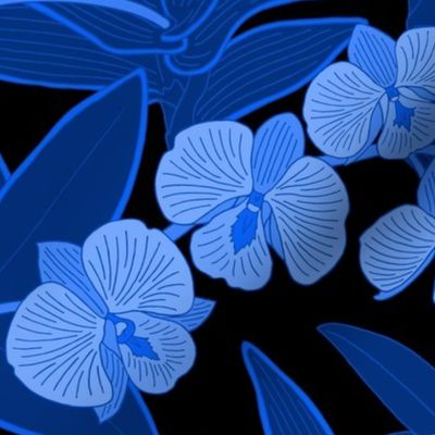 Night Blue Orchids on black background, blue aesthetic wallpaper  M