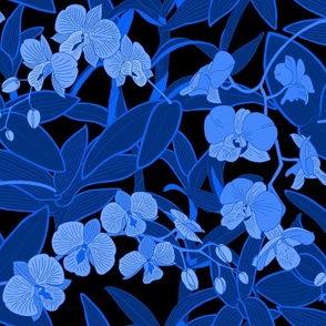 Night Blue Orchids on black background, blue aesthetic wallpaper  M