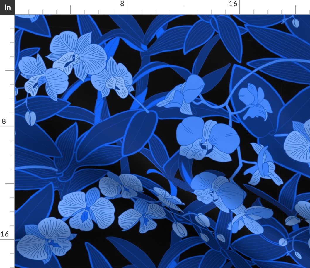 Night Blue Orchids on black background, blue aesthetic wallpaper  M