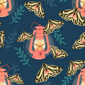 Moths and Lanterns