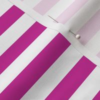 Royal Fuchsia Awning Stripe Pattern Horizontal in White