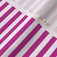 Royal Fuchsia Bengal Stripe Pattern Horizontal in White