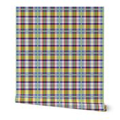 Hilary's Tartan - pastel primary colours