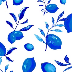 Lemons,citrus,blue willow, China pattern 