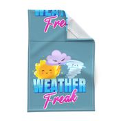 Weather Freak 18" Pillow Panel