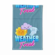 Weather Freak 18" Pillow Panel