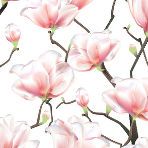 magnolia pattern 1