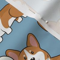 Corgi Medium on Blue