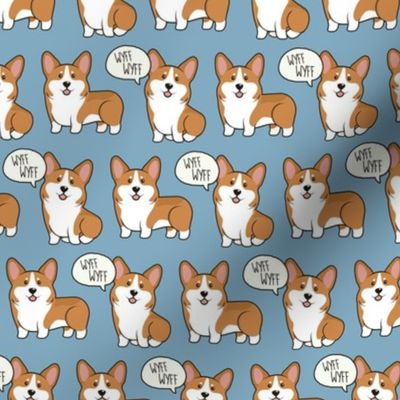 Corgi Small on Blue