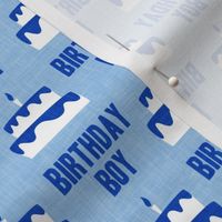 Birthday Boy - Birthday Cake - blue - LAD20
