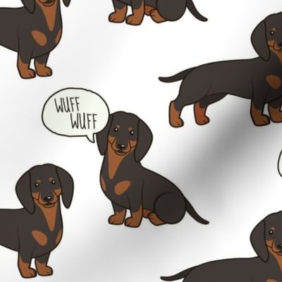 Dachshund Medium on White