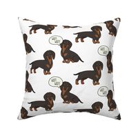 Dachshund Medium on White