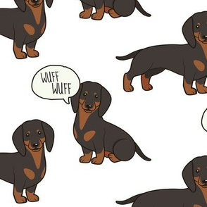 Dachshund Medium on White