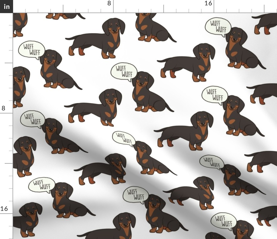 Dachshund Medium on White