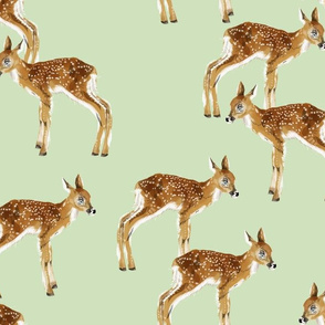 Fawn Party - Larger Scale on Green