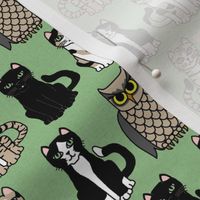 cats and the owl mini fix cats eye green and gray textured