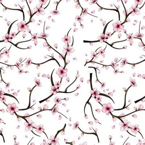 Sakura Branches